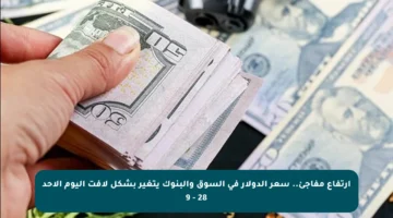 ارتفاع مفاجئ.. سعر الدولار في السوق والبنوك يتغير بشكل لافت اليوم الأحد 28 – 9